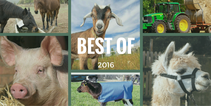 The top 10 articles on The Farm Co Blog in 2016 The top 10 articles on The Farm Co Blog in 2016